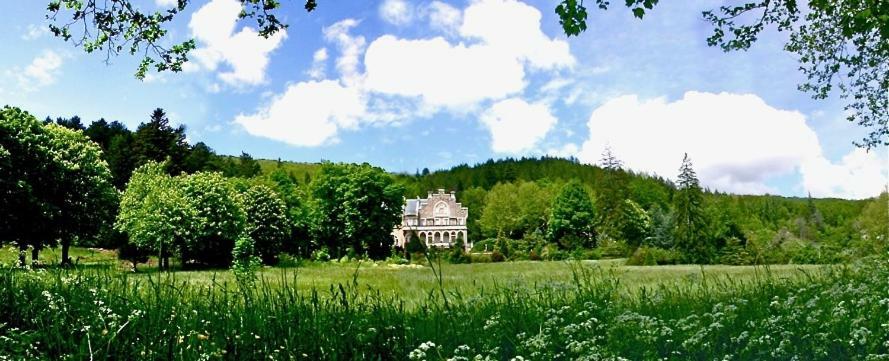 Chateau Du Mazel Bed and Breakfast Alzon Exteriör bild